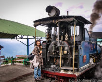 インド・ダージリンで乗れる世界最古の鉄道トイトレインが楽しい！