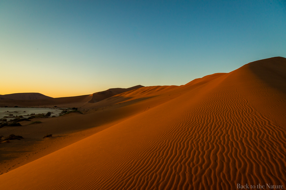 Namibia Namib Desert Dead vlei sesrim sossusvlei dune scenery tree ナミビア ナミブ砂漠 デッドフレイ 絶景 景色 自然 アフリカ