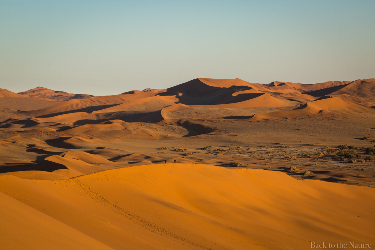 Namibia Namib Desert Dead vlei sesrim sossusvlei dune scenery tree ナミビア ナミブ砂漠 デッドフレイ 絶景 景色 自然 アフリカ