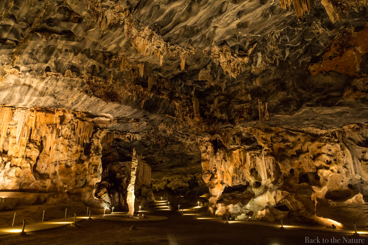 地中に広がる絶景！南アフリカの巨大カンゴー洞窟に潜入！Cango caves