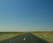 ゴビ砂漠ドライブ② 絶景の丘と野生のネギ畑