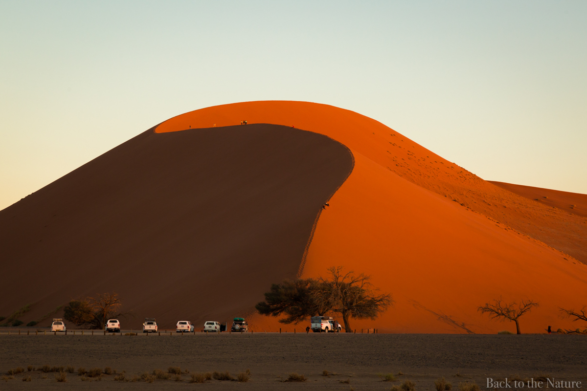 Namib desert dune45 view 世界最古の砂漠・ナミブ砂漠・デューン４５（ナミビア ）
